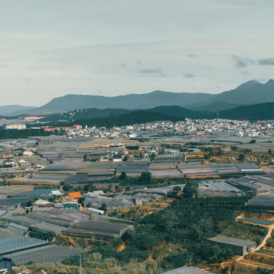 Không gian Huỳnh Tấn Gần